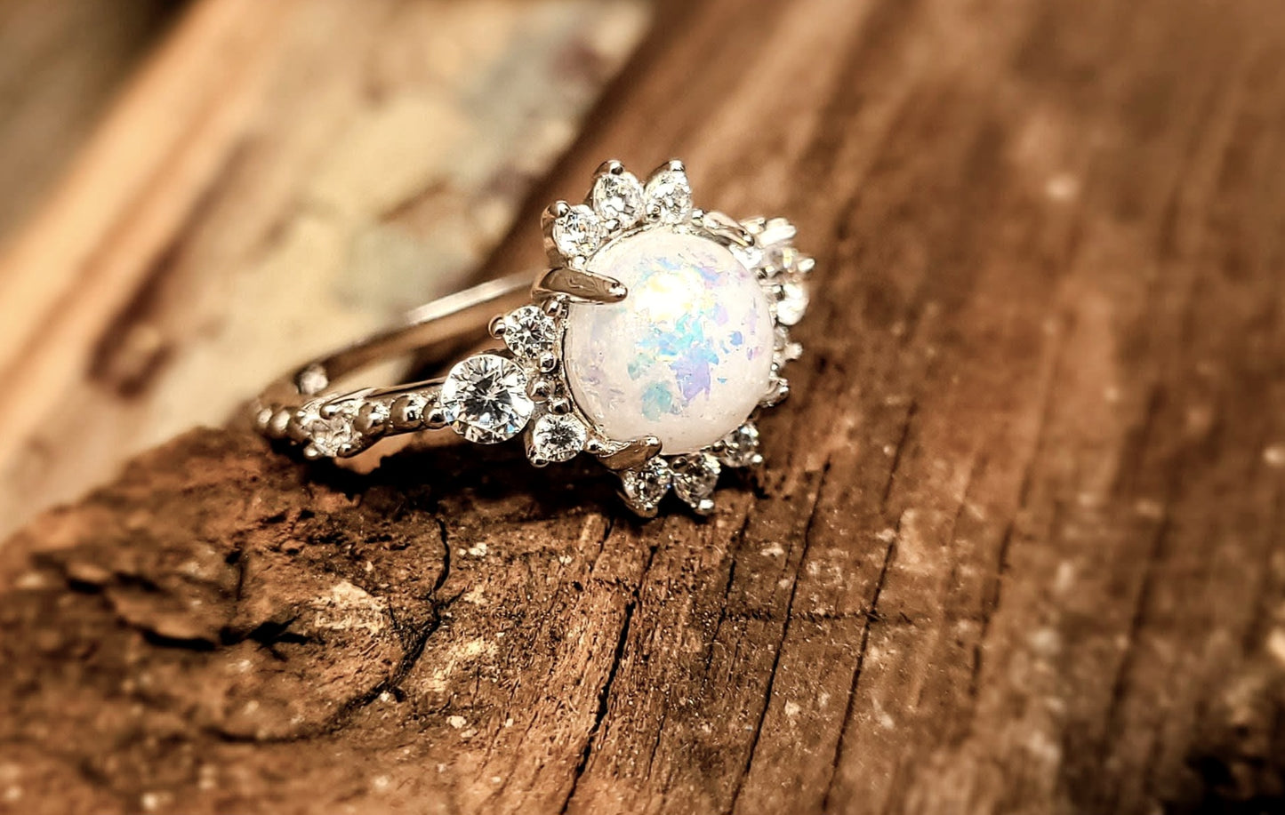 The Compass Ring