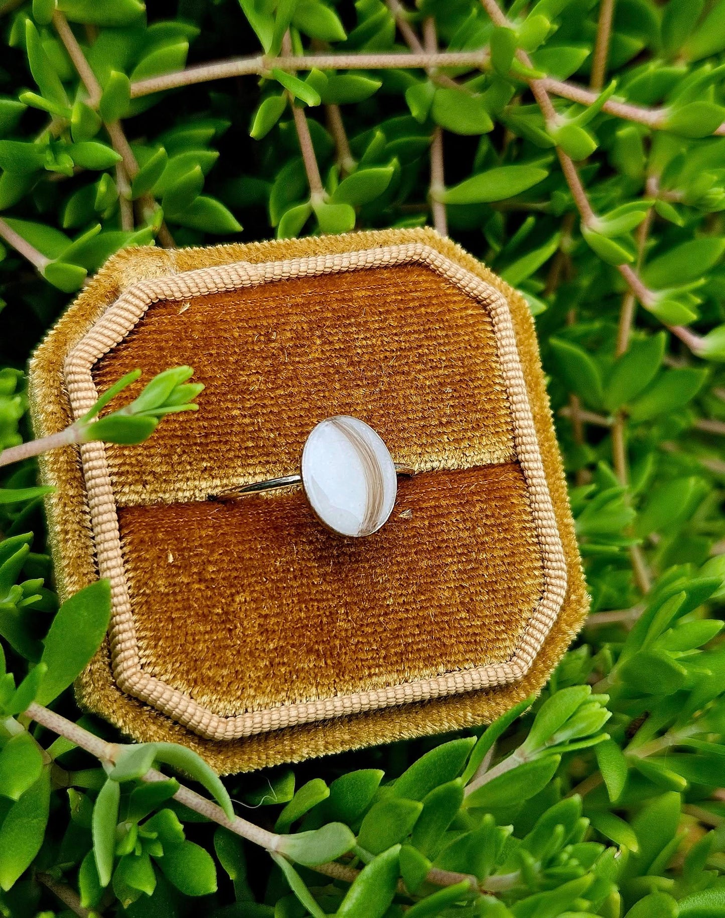 The Oval Relic