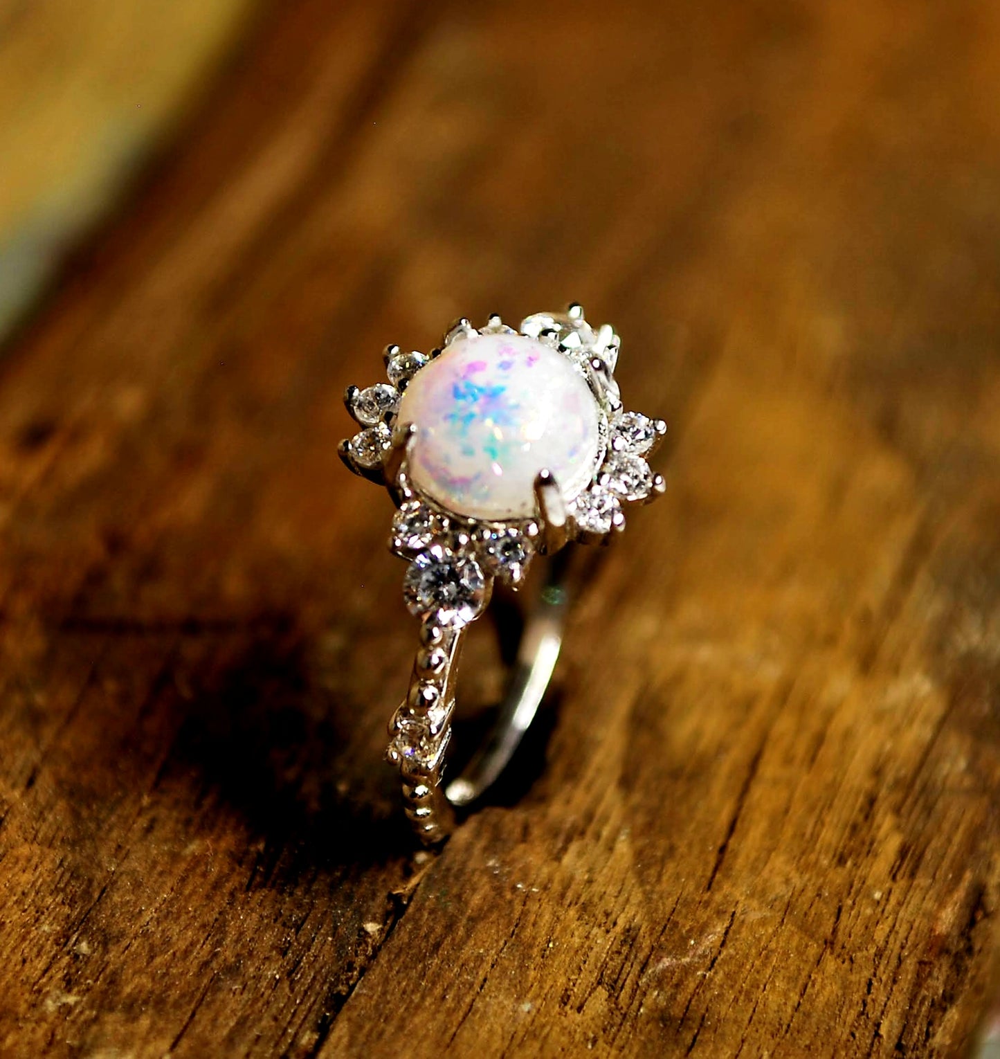 The Compass Ring