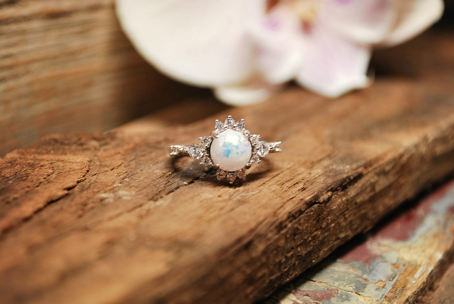 The Compass Ring